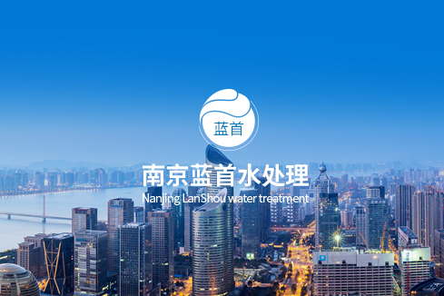 麻章建站-南京蓝首水处理设备有限公司