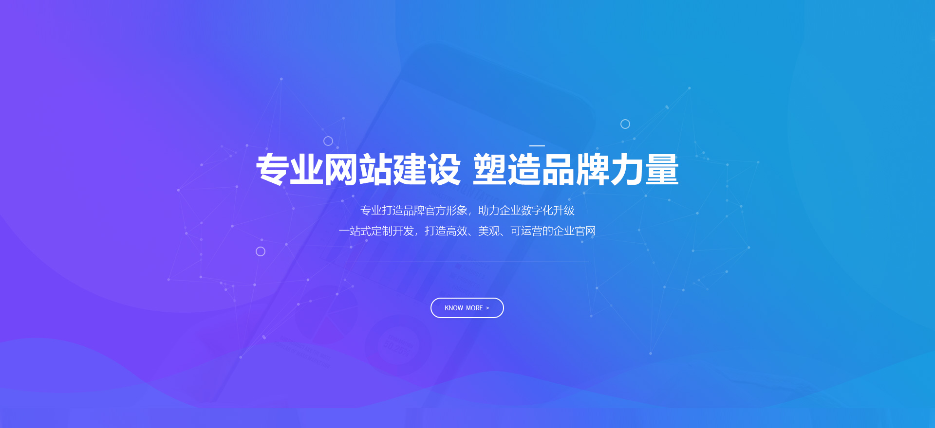 廉江建站-专业网站建设 塑造品牌力量