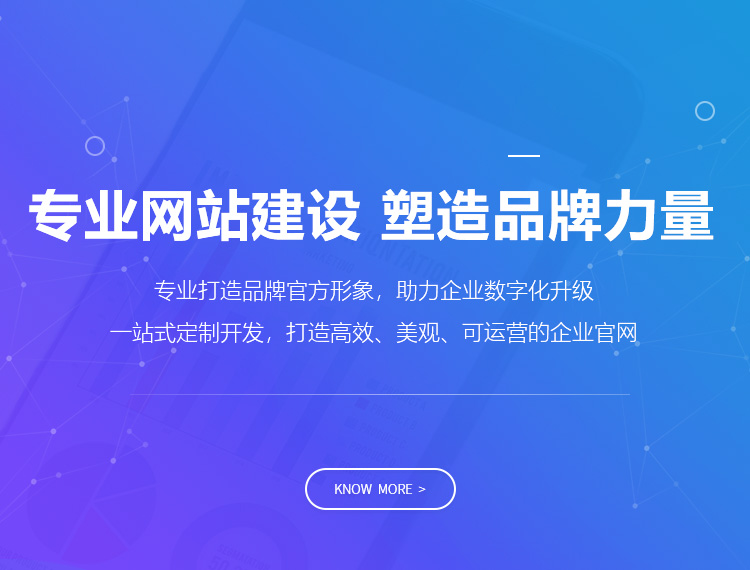 廉江建站-专业网站建设 塑造品牌力量
